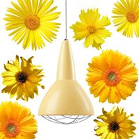 Grid_yellow_flower